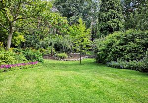 Optimiser l'expérience du jardin à Palluau-sur-Indre